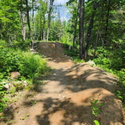 Trail