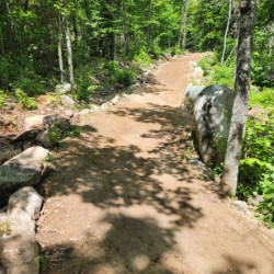 Trail